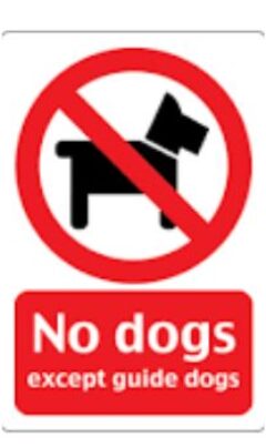 No Dogs 1