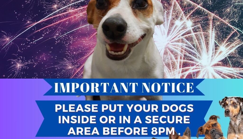 Dogs and Fireworks