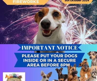 Dogs and Fireworks