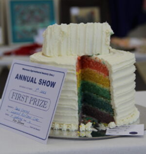 Colour my World Cake 1st Prize