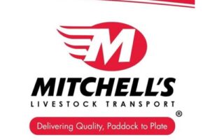 Mitchells square for website