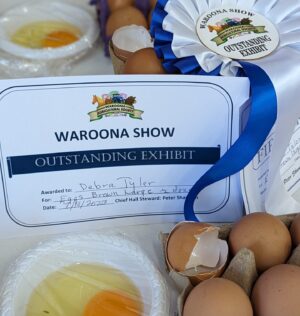 Outstanding Exhibit Eggs Debra Tyler