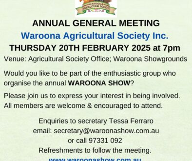 AGM notice of meeting 2025